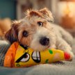 Фото 4 - іграшки Collar WAUDOG Fun Plush іграшка для собак з пищалкою ПІЦЦА