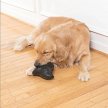 Фото 4 - іграшки PetSafe Squeak and Treat Ninja Star іграшка для собак ЗІРКА