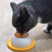 Фото 3 - миски, поилки, фонтаны CattyMan Lick Ball миска для жидких лакомств для кошек