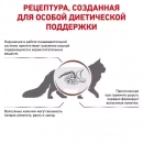 Фото - ветеринарні корми Royal Canin GASTRO INTESTINAL HAIRBALL (ГАСТРО ІНТЕСТИНАЛ ХЕРБАОЛ) лікувальний корм для котів