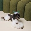 Фото 3 - одяг Pet Fashion Deer аксесуар для собак, оленячі ріжки