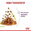 Фото - влажный корм (консервы) Royal Canin SENSORY SMELL JELLY консервы для кошек привередливых к аромату