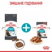 Фото 9 - влажный корм (консервы) Royal Canin URINARY CARE влажный корм для кошек