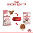 Фото 11 - влажный корм (консервы) Royal Canin KITTEN INSTINCTIVE in GRAVY влажный корм для котят в возрасте 4-12 месяцев