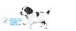 Фото 9 - вологий корм (консерви) Royal Canin STARTER MOUSSE (СТАРТЕР МУС) вологий корм для цуценят та сук при вагітності та лактації