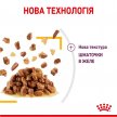 Фото - влажный корм (консервы) Royal Canin SENSORY TASTE JELLY  консервы для кошек привередливых ко вкусу