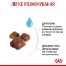 Фото - сухой корм Royal Canin Mother & Babycat (БЕБИКЭТ) cухой корм для котят 1-4 месяца, беременных и лактирующих