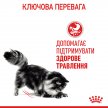 Фото 7 - влажный корм (консервы) Royal Canin DIGEST SENSITIVE in GRAVY влажный корм для кошек
