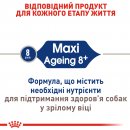 Фото - сухий корм Royal Canin MAXI AGEING 8+ (МАКСІ АЙДЖИНГ 8+) корм для собак великих порід від 8 років