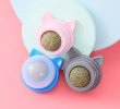 Фото 2 - трава для котов и кошачья мята Pomurom Лакомство для кошек шарик-лизун с кошачьей мятой УШКИ