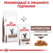 Фото - ветеринарные корма Royal Canin GASTRO INTESTINAL MODERATE CALORIE (ГАСТРО ИНТЕСТИНАЛ УМЕРЕННАЯ КАЛОРИЙНОСТЬ) сухой лечебный корм для кошек