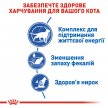 Фото - сухой корм Royal Canin INDOOR 7+ (ИНДУР 7+) сухой корм для кошек старше 7 лет