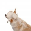 Фото 4 - одежда Pet Fashion Gold панама для собаки