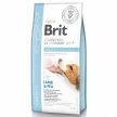 Фото - ветеринарні корми Brit Veterinary Diet Dog Grain Free Obesity Lamb & Pea беззерновой сухой корм для собак c избыточным весом ЯГНЯ та ГОРОХ