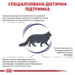 Фото - ветеринарные корма Royal Canin MATURE CONSULT влажный корм для котов и кошек старше 7 лет