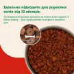 Фото 6 - сухой корм Mera Nurture Adult Insekt сухой корм для кошек НАСЕКОМЫЕ