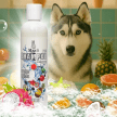 Фото 2 - щоденний догляд (шампуні, кондиціонери та інші засоби) Modes Shampoo Exzotic Fruits шампунь для котів і собак АРОМАТ ЕКЗОТИЧНИХ ФРУКТІВ