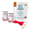 Фото 3 - сухий корм Brit Care GIFT BOX Hypoallergenic Puppy  набір для цуценят