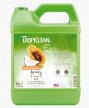 Фото - повсякденна косметика Tropiclean (Тропіклін) PAPAYA & COCONUT 2 в 1 (ПАПАЙЯ І КОКОС 2 в 1) шампунь кондиціонер для собак та котів