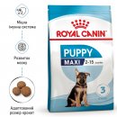 Фото - сухой корм Royal Canin MAXI PUPPY корм для щенков крупных пород от 2 до 15 месяцев