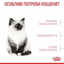 Фото 5 - сухий корм Royal Canin KITTEN (КІТТЕН) корм для кошенят до 12 місяців