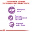 Фото - сухий корм Royal Canin STERILISED 37 (СТЕРИЛІЗЕД) корм для кішок від 1 до 7 років