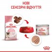 Фото 8 - влажный корм (консервы) Royal Canin MOTHER & BABYCAT (БЕБИКЕТ ИНСТИНКТИВ) Влажный корм для котят с рождения до 4 месяцев