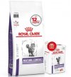 Фото - сухой корм Royal Canin MATURE CONSULT ветеринарная диета для котов и кошек старше 7 лет без видимых признаков старения