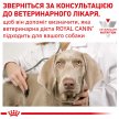 Фото - ветеринарные корма Royal Canin HEPATIC HF16 (ГЕПАТИК) сухой лечебный корм для собак