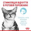 Фото - влажный корм (консервы) Royal Canin SENSORY MULTIPACK GRAVY консервы для привередливых кошек НАБОР