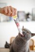 Фото 5 - для выведения шерсти Gimcat ANTI-HAIRBALL DUO PASTE паста для выведения шерсти со вкусом курицы