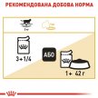 Фото 6 - влажный корм (консервы) Royal Canin BRITISH SHORTHAIR ADULT влажный корм для кошек породы британская короткошерстная