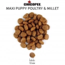 Фото - сухой корм Chicopee CNL PUPPY MAXI POULTRY & MILLET сухой корм для щенков крупных пород ПТИЦА И ПРОСО