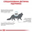 Фото - ветеринарні корми Royal Canin HYPOALLERGENIC DR25 (ГІПОАЛЕРГЕННИЙ) сухий лікувальний корм для кішок від 1 року