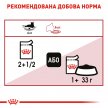 Фото - вологий корм (консерви) Royal Canin INSTINCTIVE in JELLY консерви для котів