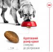 Фото 3 - сухий корм Royal Canin MAXI AGEING 8+ (МАКСІ АЙДЖИНГ 8+) корм для собак великих порід від 8 років