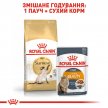 Фото - сухий корм Royal Canin SIAMESE (СІАМЕС) корм для котів від 1 року