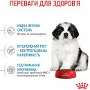 Фото - сухой корм Royal Canin GIANT PUPPY корм для щенков гигантских пород от 2 до 8 месяцев