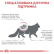 Фото 3 - ветеринарні корми Royal Canin RENAL RF23 (РЕНАЛ) сухий лікувальний корм для котів від 1 року
