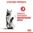 Фото 6 - сухий корм Royal Canin APPETITE CONTROL (АПЕТИТ КОНТРОЛЬ) корм для стерилізованих кішок від 1 до 7 років