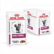 Фото - ветеринарные корма Royal Canin EARLY RENAL FELINE полнорационный влажный корм для кошек при ранней стадии почечной недостаточности