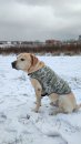 Фото - одяг Collar WAUDOG куртка-накидка для собак МІЛІТАРІ