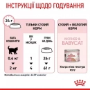 Фото - сухой корм Royal Canin Mother & Babycat (БЕБИКЭТ) cухой корм для котят 1-4 месяца, беременных и лактирующих