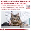 Фото 10 - ветеринарные корма Royal Canin GASTROINTESTINAL FIBRE RESPONSE сухой лечебный корм для кошек от 1 года