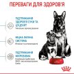 Фото - сухий корм Royal Canin MAXI STARTER MOTHER & BABYDOG корм для вагітних і годуючих сук і цуценят великих-порід