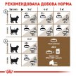 Фото - сухой корм Royal Canin AGEING 12+ (ЕЙЖИН 12+) сухой корм для стареющих кошек старше 12 лет