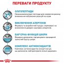 Фото - ветеринарные корма Royal Canin ANALLERGENIC (АНАЛЕРДЖЕНИК) сухой лечебный корм для собак