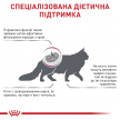 Фото 3 - ветеринарные корма Royal Canin RENAL SPECIAL сухой лечебный корм для кошек с пониженным аппетитом при почечной недостаточности