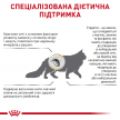 Фото 5 - ветеринарные корма Royal Canin URINARY S/O MODERATE CALORIE сухой лечебный корм для кошек