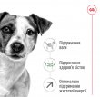 Фото 5 - сухий корм Royal Canin MINI ADULT 8+ (СОБАКИ ДРІБНИХ ПОРІД ЕДАЛТ 8+) корм для собак від 8 років